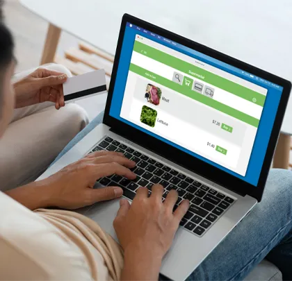 shopify sales