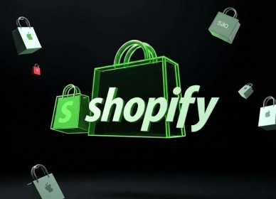 shopify website